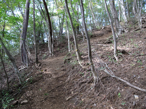 20151014hike (216)